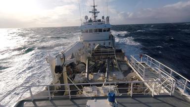 Ausgefischt Die Nordsee Und Der Brexit Makro Vom 29 11 19 3sat Mediathek