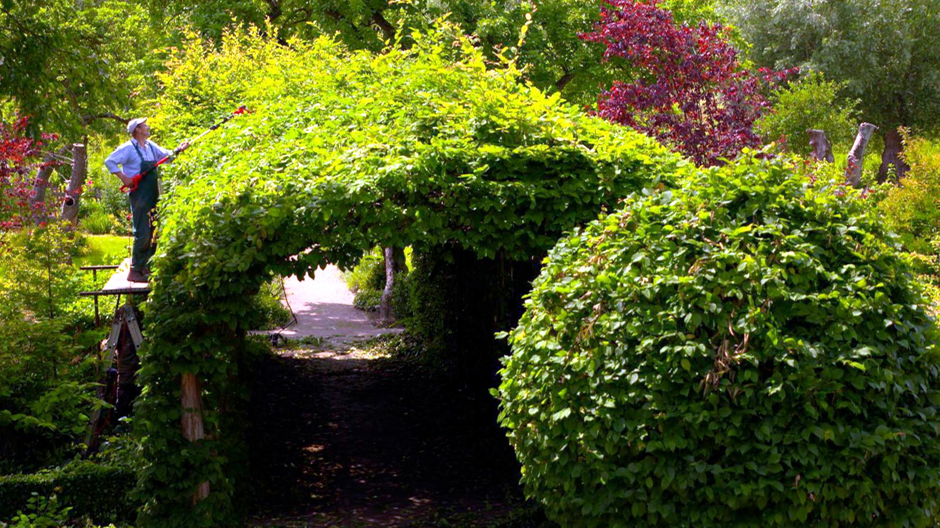 Ein Garten Fur Alle 3sat Mediathek