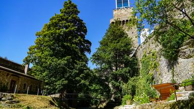 Natur Im Garten 3 10 Grune Oasen Inmitten Der Stadt 3sat