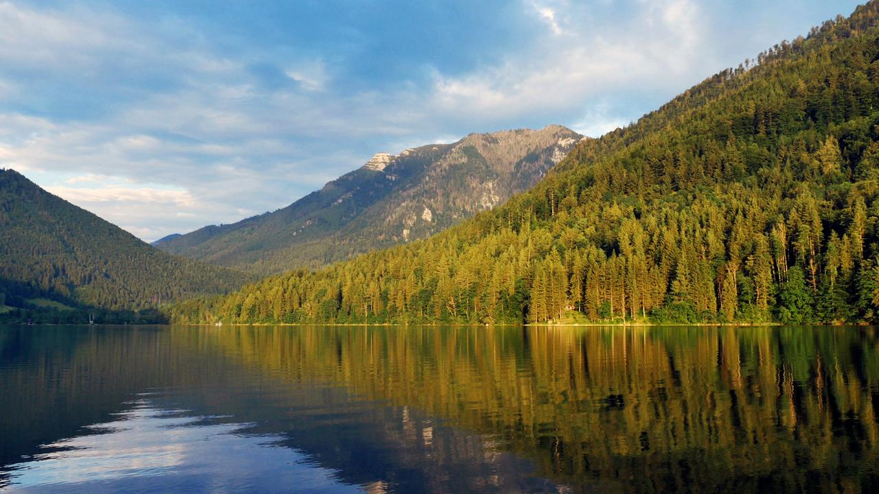 Von der Magie des Wassers - Der Lunzer See in Niederösterreich - 3sat